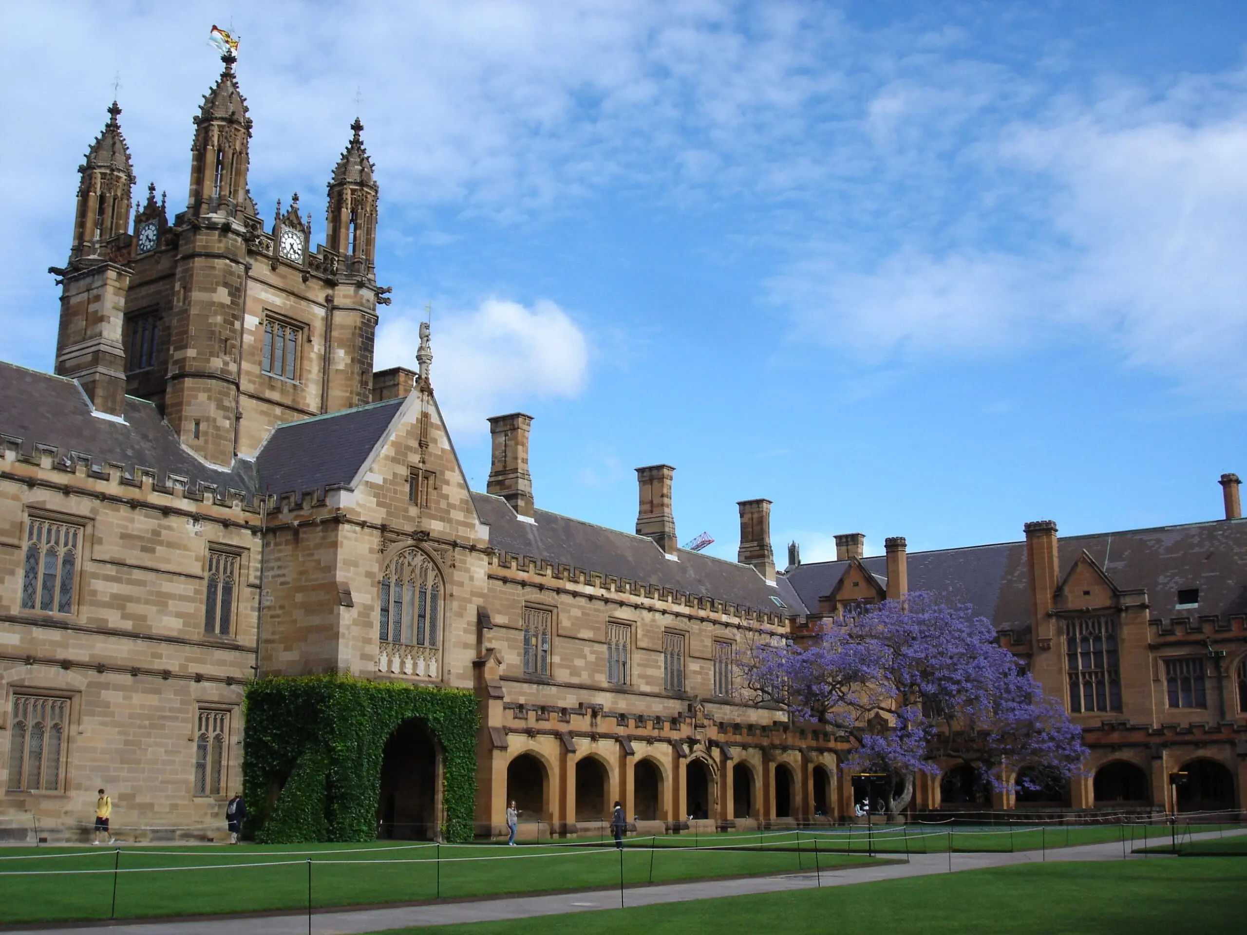 The Quadrangle and jacaranda in bloom
