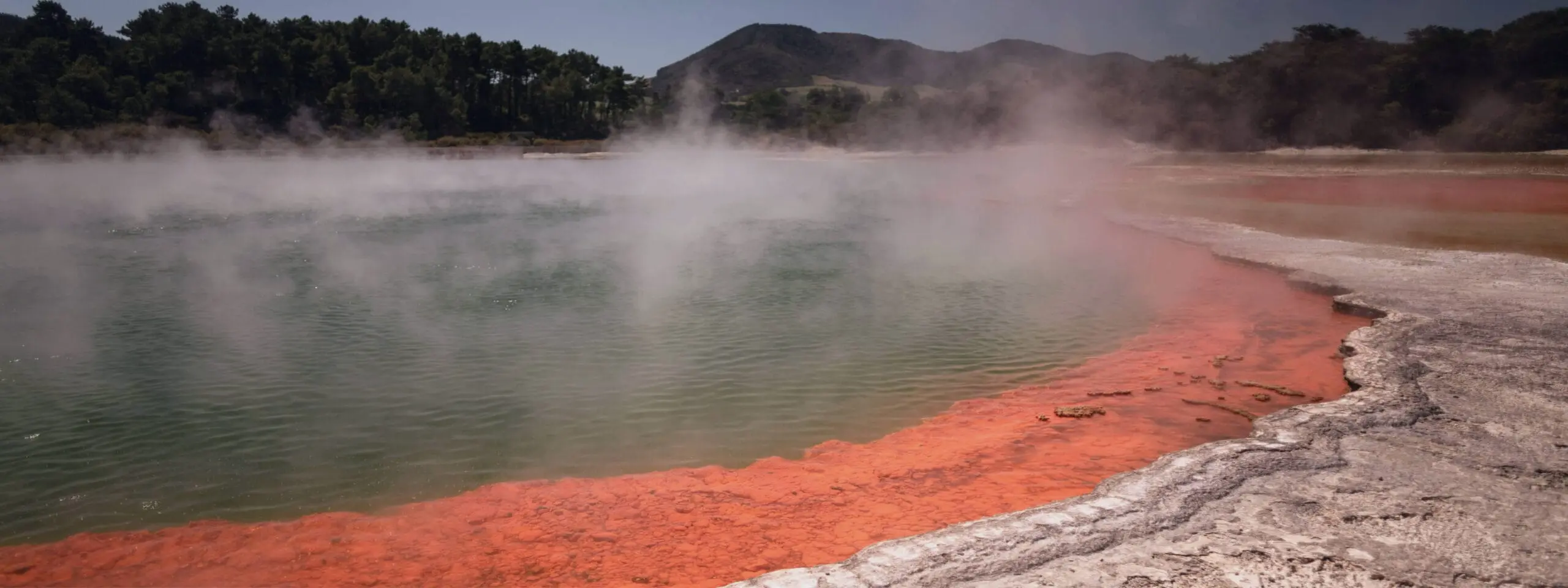 Vivir en Rotorua, Nueva Zelanda
