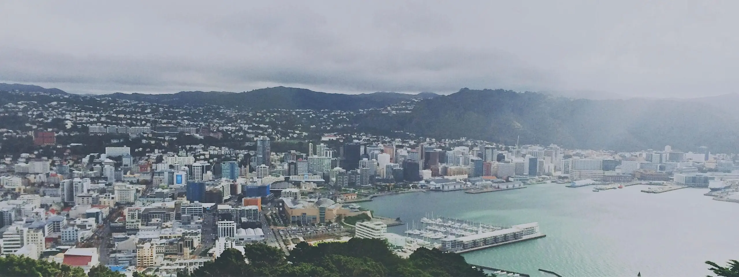 Vivir en Wellington, Nueva Zelanda
