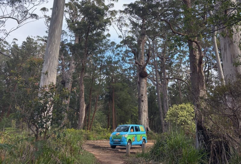 Road trip por el sur de Western Australia con Wicked Campers