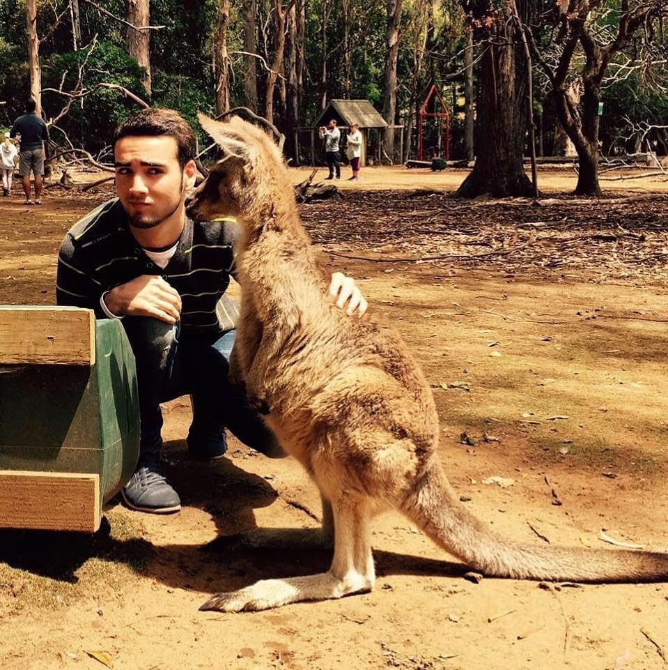 Chico con canguro