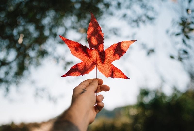 Estudiar un Post Grado en Canadá Canadá post grado
