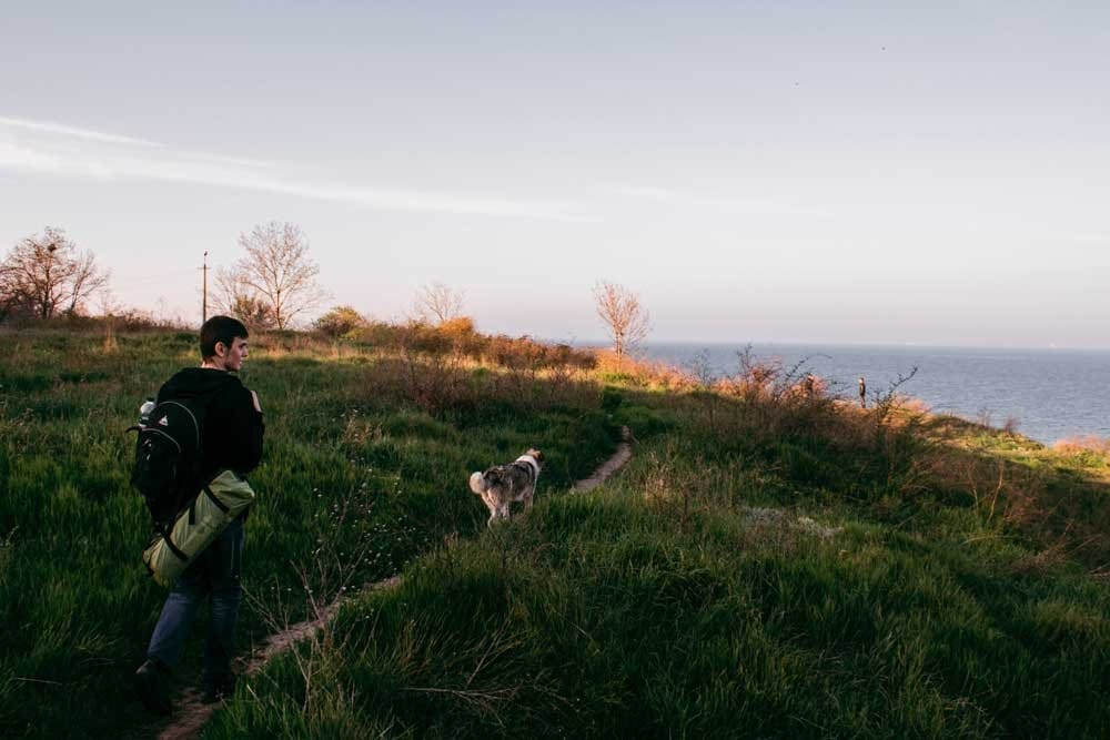 Chico con perro en un prado