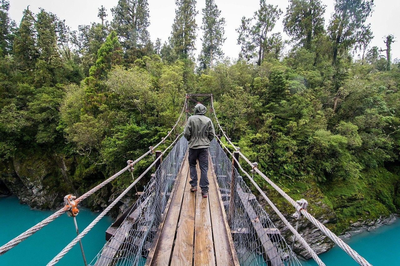 Vivir en Nueva Zelanda chico de espaldas andando encima de un puente de madera