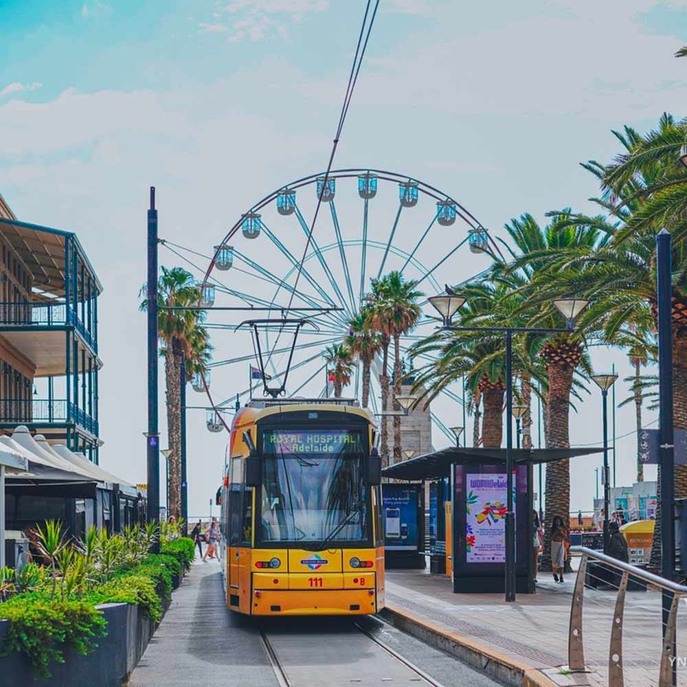Transporte público en Adelaida