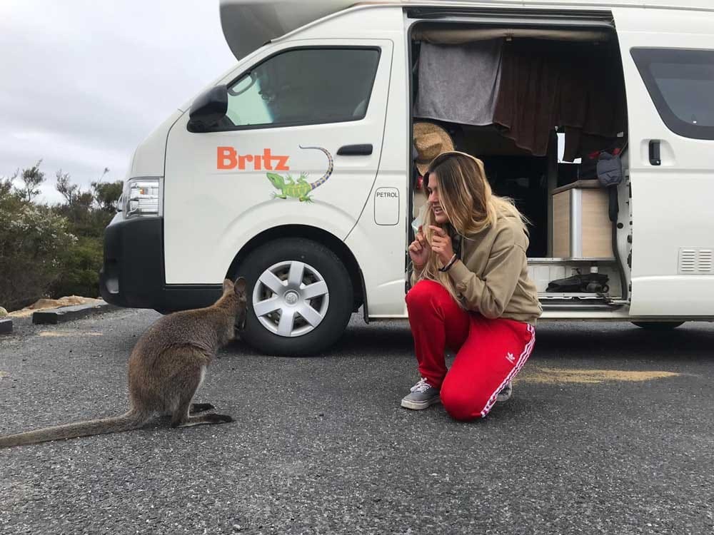 Animales en Australia opiniones-youtooproject-australia