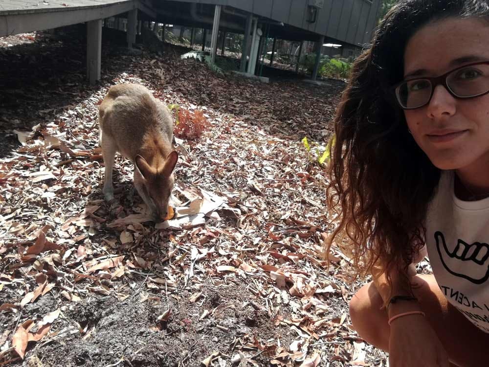 Entrevista a Marta estudiando inglés chica con un canguro