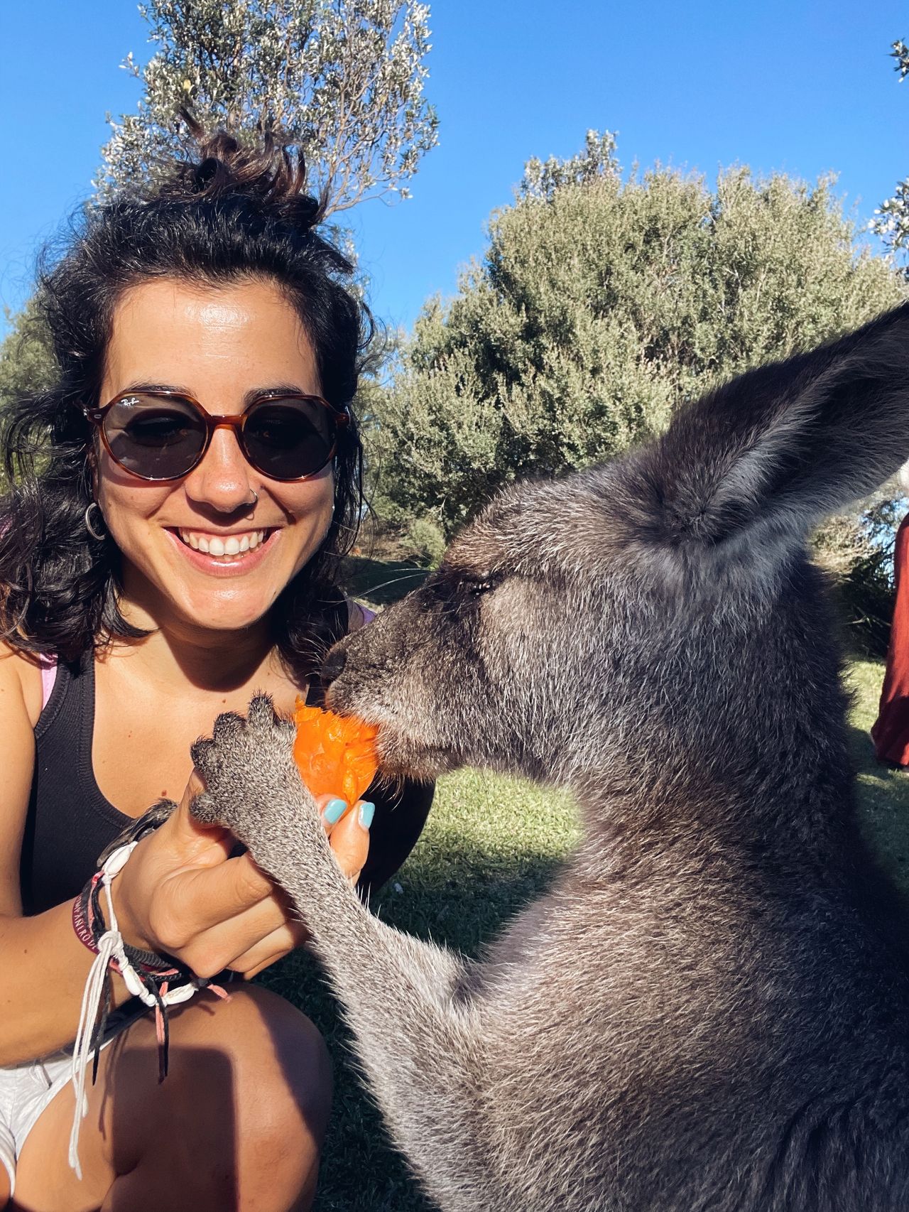 año sabático en Australia o Nueva Zelanda