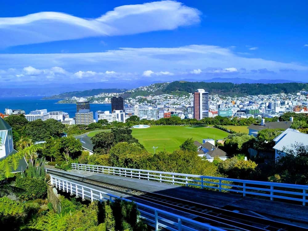 Ciudad de Wellington fotografía de una ciudad con los edificios y la vegetación y de fondo el mar