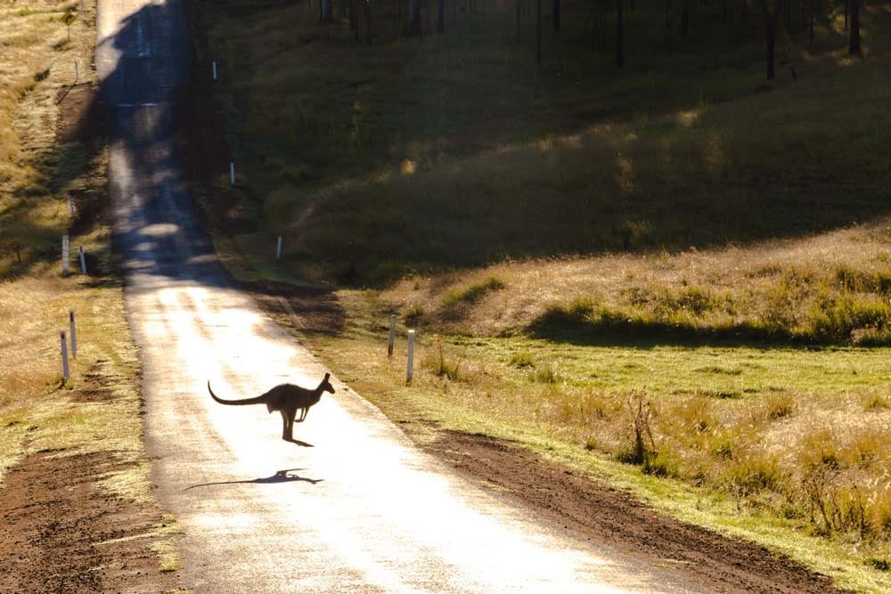 tramites antecedentes penales españa cetificado antecedentes penales para australia
