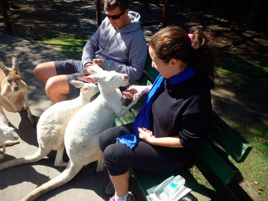 trabajar-australia-workandholiday