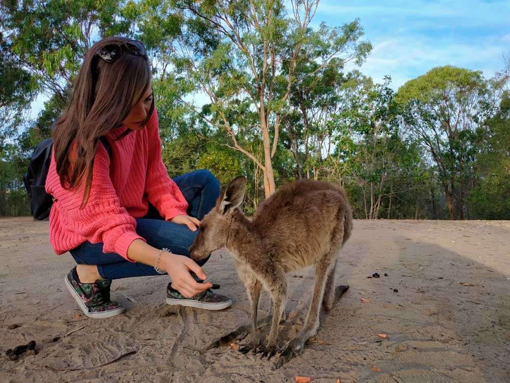 Estudiar en Australia diseño de interiores. ¡Encuentra trabajo!