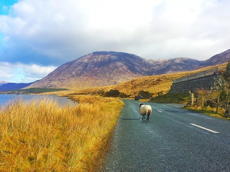 Los lugares más bonitos de Irlanda. ¡Descúbrelos!