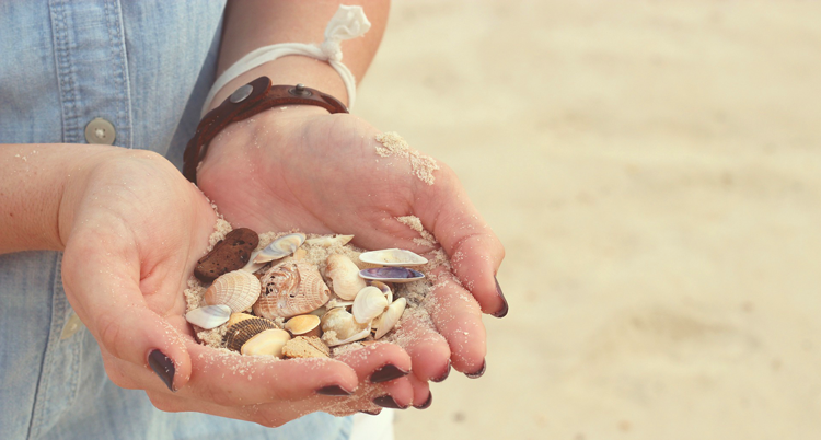 no te lleves las conchas de la playa australia