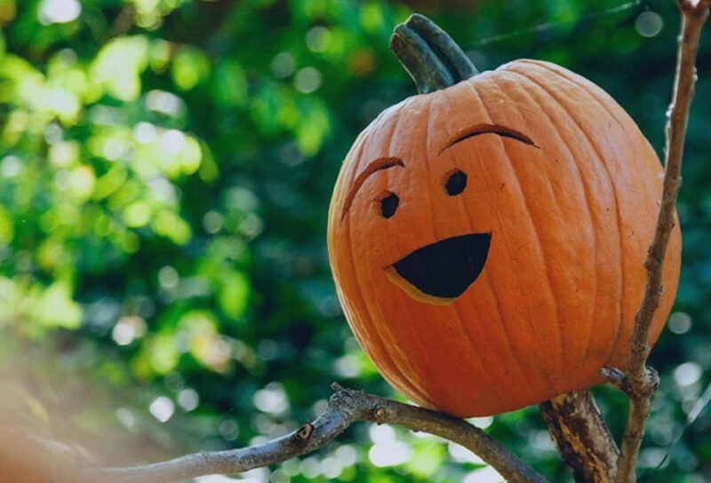 Cómo se celebra Halloween en Australia