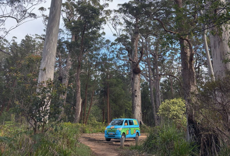 Road trip por el sur de Western Australia con Wicked Campers